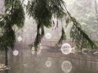 京都人妻デリヘル倶楽部