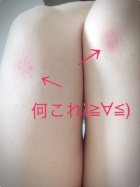 熟女ネットワーク京都