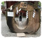 京都人妻デリヘル倶楽部
