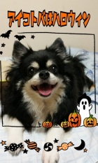 京都痴女性感フェチ倶楽部