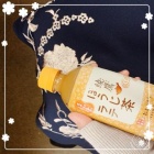 京都ホテヘル倶楽部