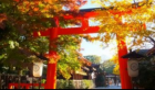 京都人妻デリヘル倶楽部