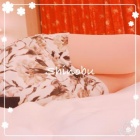 京都ホテヘル倶楽部