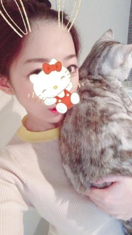 添付画像