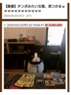 ノーハンドで楽しませる人妻 京都店