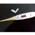 熟女ネットワーク京都