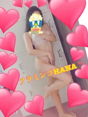 添付画像