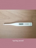熟女ネットワーク京都