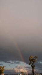 京都回春性感マッサージ倶楽部