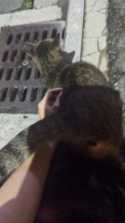 京都回春性感マッサージ倶楽部