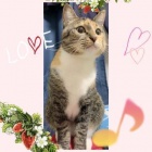 京都痴女性感フェチ倶楽部