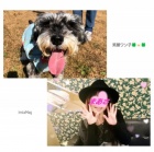 京都人妻デリヘル倶楽部