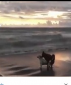 京都痴女性感フェチ倶楽部