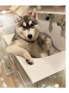 京都痴女性感フェチ倶楽部