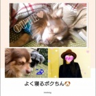京都人妻デリヘル倶楽部