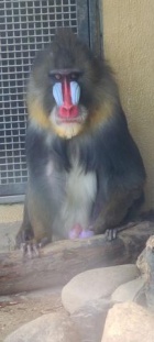 京都痴女性感フェチ倶楽部