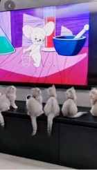 京都痴女性感フェチ倶楽部