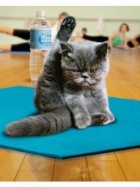 京都痴女性感フェチ倶楽部