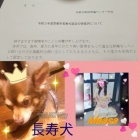 京都人妻デリヘル倶楽部