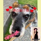京都人妻デリヘル倶楽部