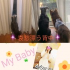 京都人妻デリヘル倶楽部