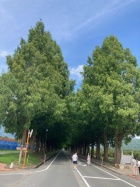 京都人妻デリヘル倶楽部