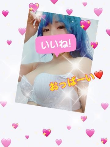 添付画像