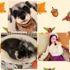 京都人妻デリヘル倶楽部