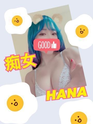 添付画像