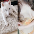 京都人妻デリヘル倶楽部