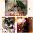 京都人妻デリヘル倶楽部