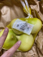 京都ホテヘル倶楽部