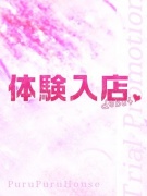 木屋町 ファッションヘルス プルプルハウス 川口 ハルヒ画像1枚目